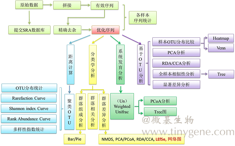 Bioinfor-statistic-analysis-1