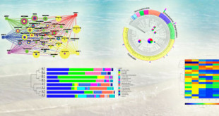 microbial-diversity-metagenomics