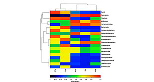 01heatmap