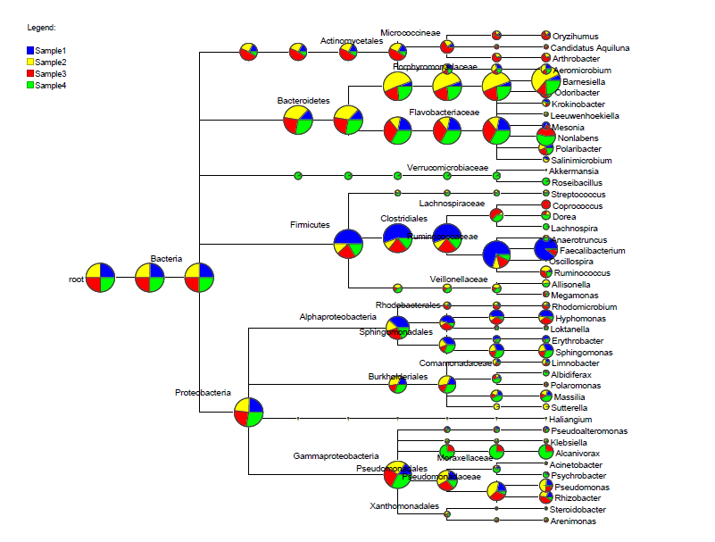 Multi samples Taxonomy analysis tree