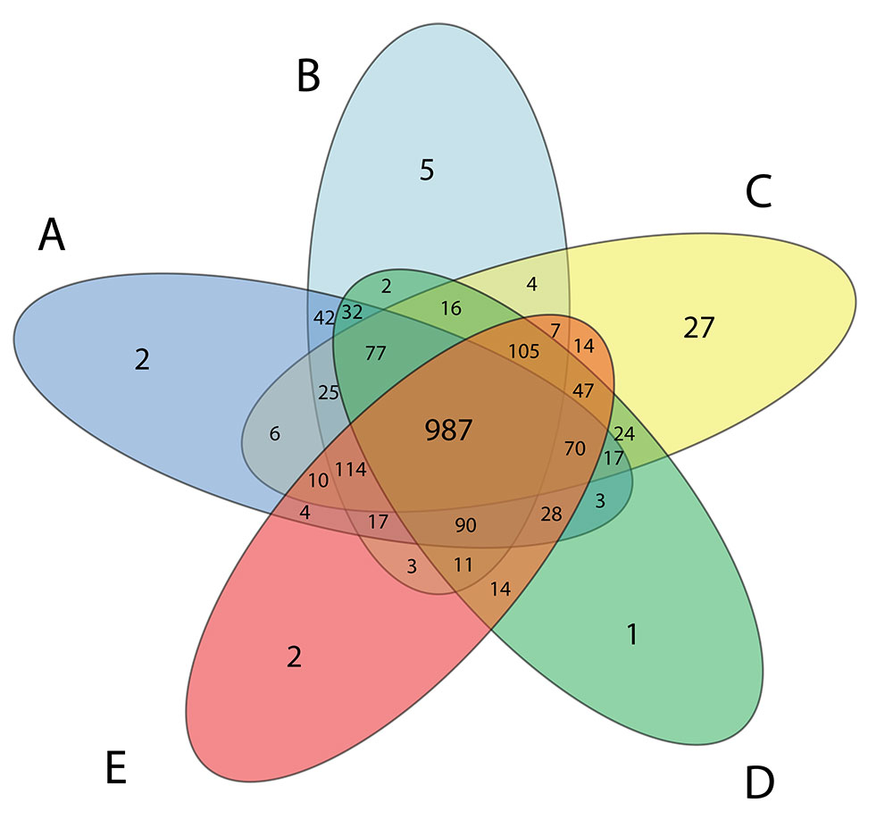 venn 11
