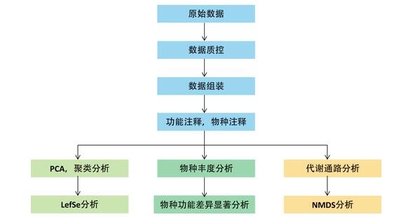 Metagenome-line