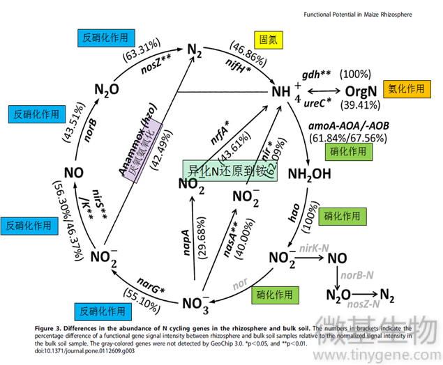 1 氮循环图