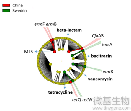 14 抗性基因 中国人和其他国家人