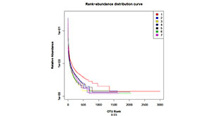 01Rank-Abundance