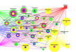 01-interaction-network