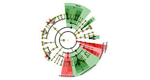 Cladogram