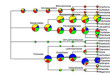 Multi-samples-Taxonomy-analysis-tree-01