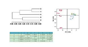 unifrac