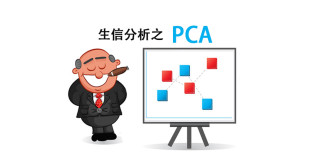 PCA cartoon