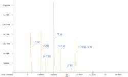 代谢组-短链脂肪酸