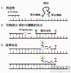 抗性基因检测 - 微基生物
