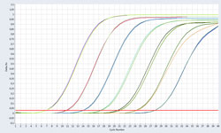 qPCR-ddPCR--特定功能基因检测