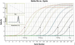 qPCR