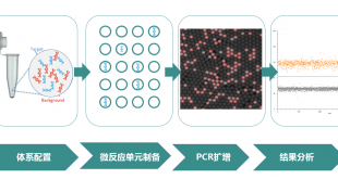 ddPCR 数字PCR检测服务 - 微基生物