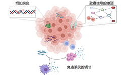 肿瘤微生物-展示图
